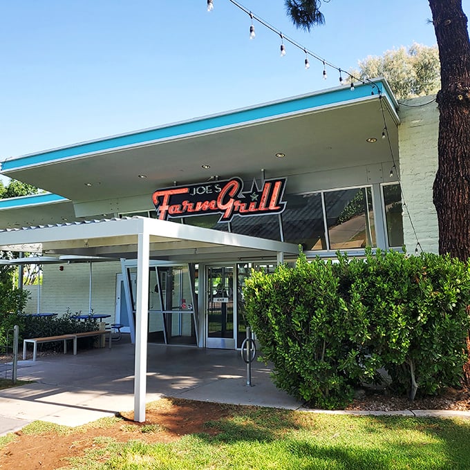 Joe's Farm Grill: Where '50s diner meets modern farm-to-table. It's like "Happy Days" with a side of kale!