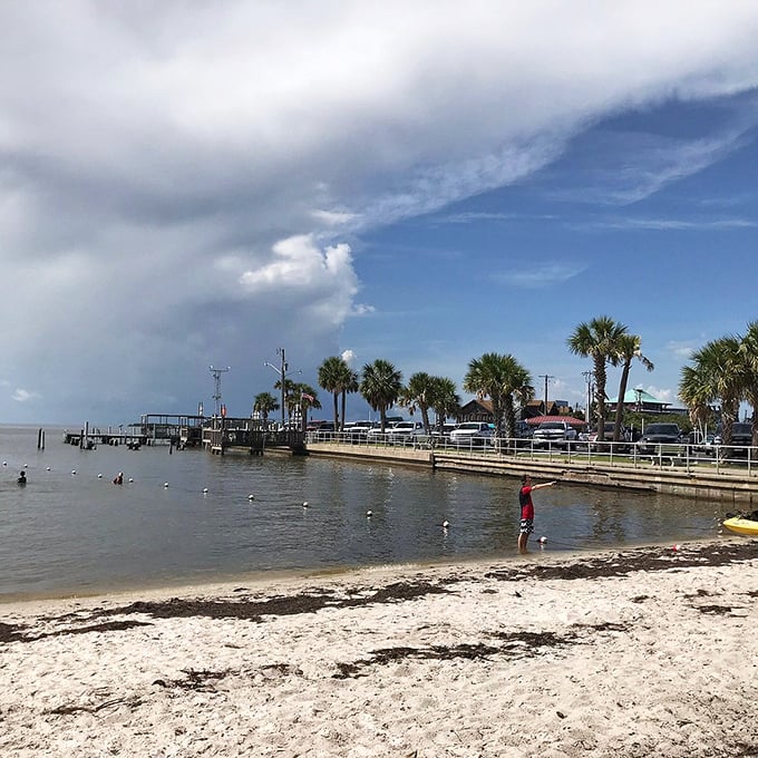 Who needs a time machine when you have Cedar Key? This snapshot of Old Florida charm is like a warm hug from the past, with better plumbing.