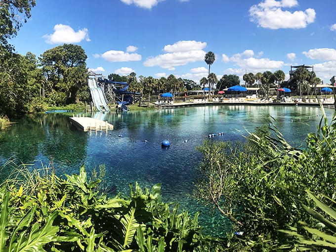 Mermaids in Florida? Weeki Wachee Springs brings childhood fantasies to life – no pixie dust required.