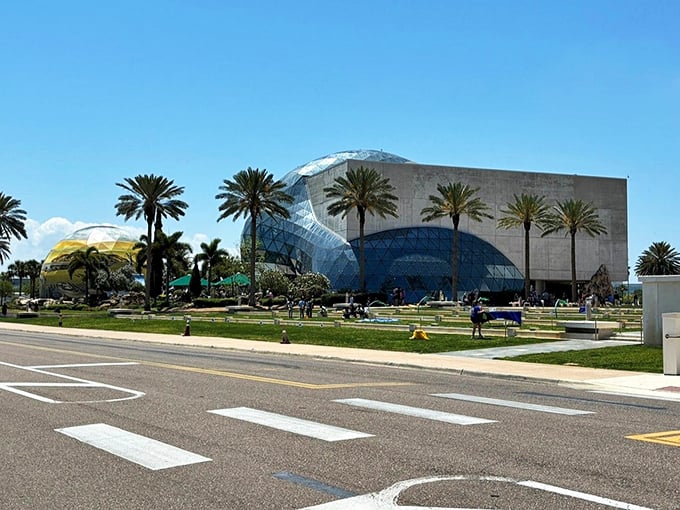 Melting clocks and lobster phones? The Dali Museum: where surrealism gets a beachfront property.