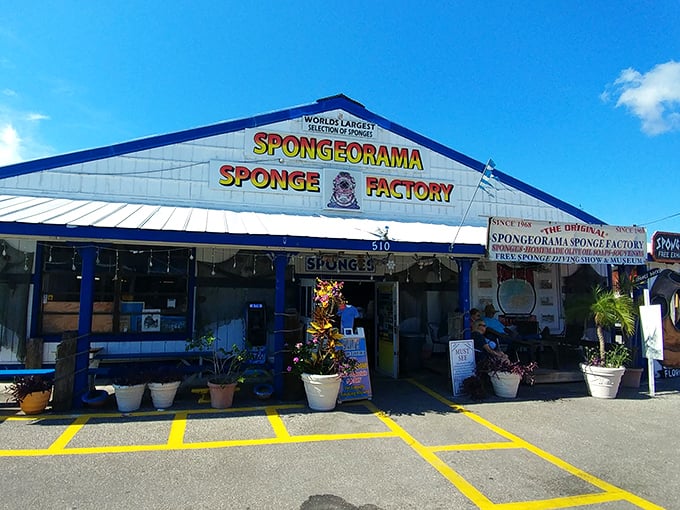 Spongeworthy indeed! Tarpon Springs' Spongeorama is the squeaky-clean attraction you never knew you needed.