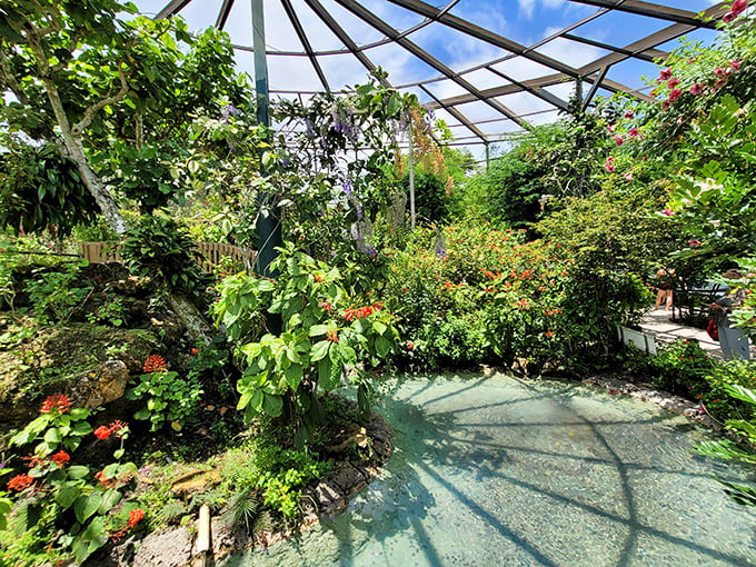 Flutter into a living rainbow at Butterfly World. It's like stepping into a Disney movie, minus the singing teapots.