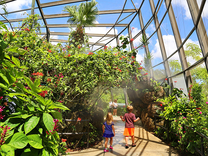 Butterflies, birds, and bugs – oh my! This fluttering paradise is nature's answer to confetti.