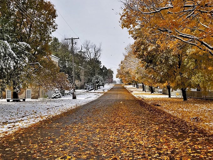 History comes alive in Bishop Hill's town square. It's like stepping into a Scandinavian fairy tale, complete with Swedish pancakes and lingonberry everything.