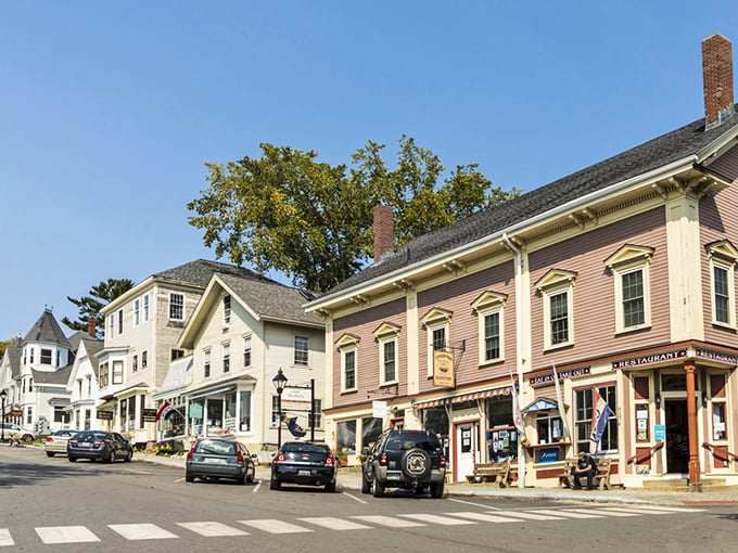 Castine's coastal charm on full display! White clapboard houses and tree-lined streets create a scene so idyllic, it's practically therapeutic.