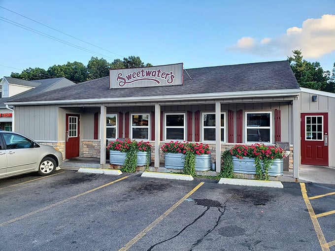 Apple Fritters the size of small planets and Nutty Donuts that'll make you go nuts. Sweetwater's is donut heaven on earth! Photo credit: Ben P