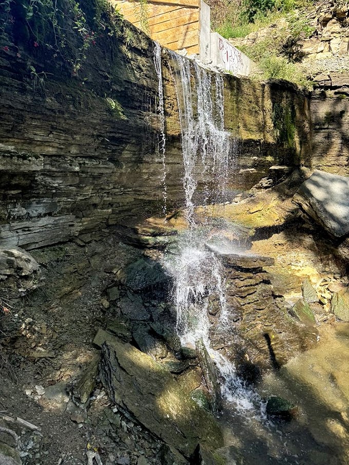 Playing hide and seek with Mother Nature? You've just hit the jackpot! This little gem is worth seeking out. Photo credit: Destiny O.