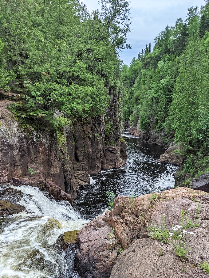 Nature's own magic show! Watch as half the river disappears faster than your motivation on a Monday morning. Photo credit: Daniel Frick