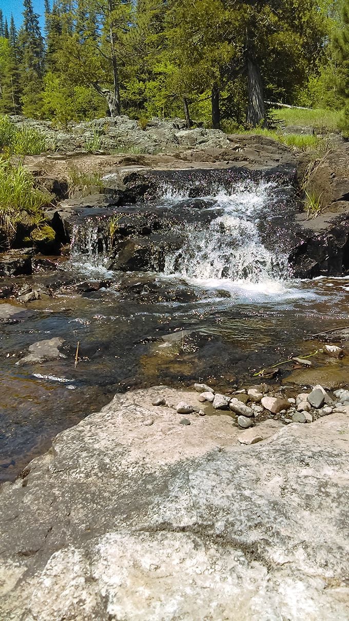 Who needs a fancy water feature when you've got this natural masterpiece? It's like a fountain, but way, way cooler. Photo credit: Shelly A