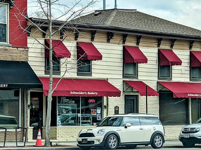 Schneider's Bakery: Where donuts go to fulfill their destiny! This charming storefront has been satisfying sweet tooths since Leave It to Beaver was on prime time.