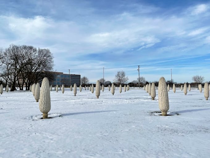 "Concrete corn stands at attention, ready to puzzle and amuse. It's Ohio's very own Cornhenge!"