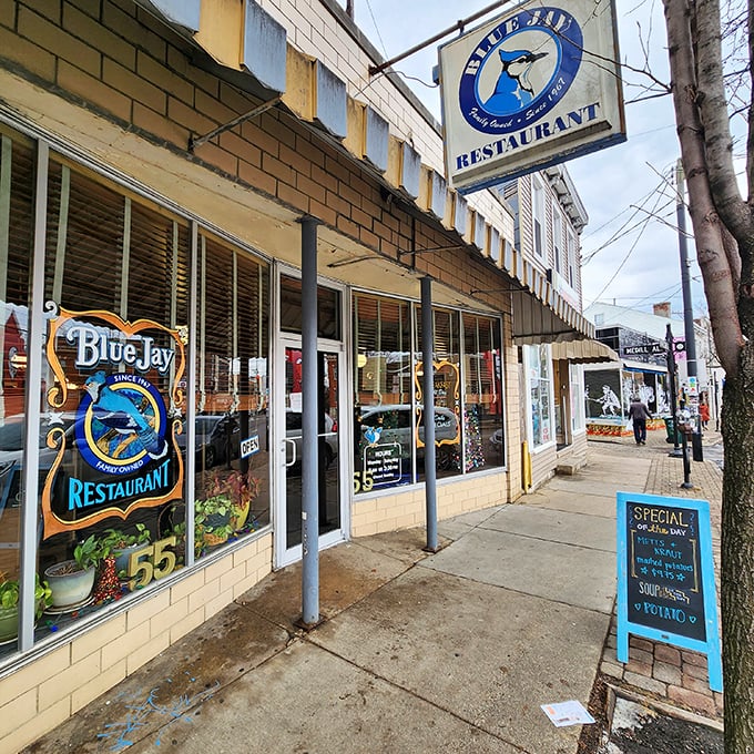 Follow the blue jay to flavor town! This retro-chic diner serves up nostalgia by the spoonful, with a side of local charm.