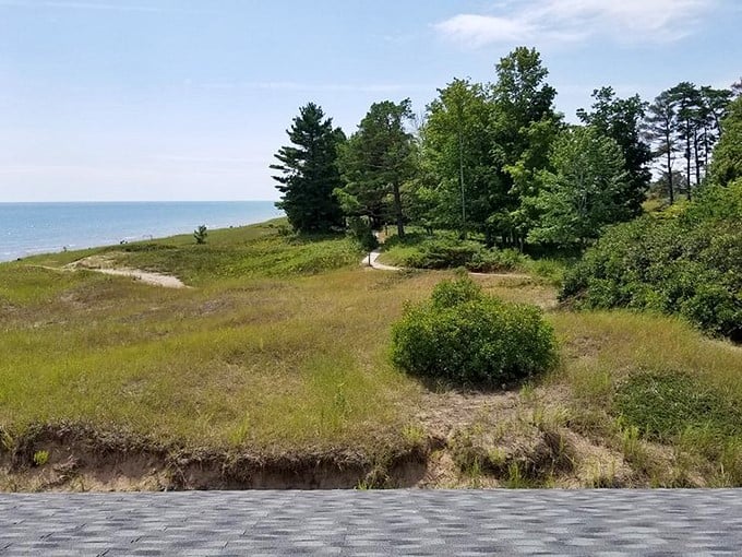 Beach paradise in cheese country? It's like the Sahara and Great Lakes had a beautiful baby.