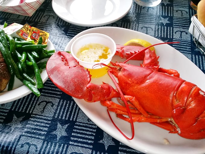 When your lobster dinner looks this good, you know you're in the right place in Maine. Photo credit: John M Rising