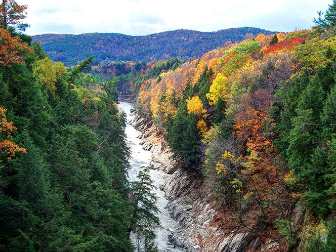 Fall for Vermont at Quechee Gorge! This leaf-peeper's paradise is like nature's own fireworks display, minus the loud noises and fire hazards.