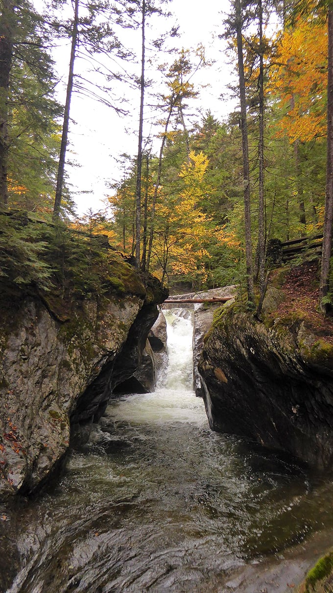 Texas Falls: Where Vermont decided to go big or go home. No ten-gallon hats required, just a willingness to be amazed by nature's sculpting skills.