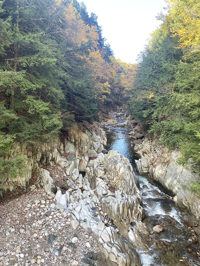 Clarendon Gorge: Where Mother Nature decided to play bridge architect. Crossing this suspension bridge is like a free rollercoaster ride, no tickets required!