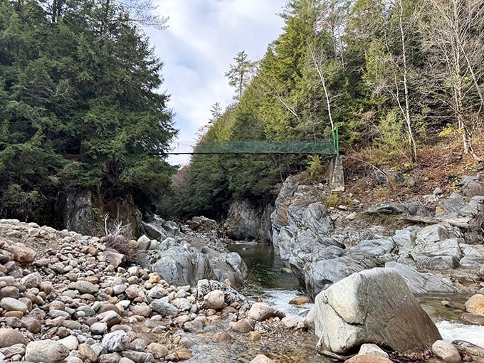 Who needs bungee jumping when you've got Clarendon Gorge? This natural thrill ride will have your heart racing faster than a squirrel on espresso.