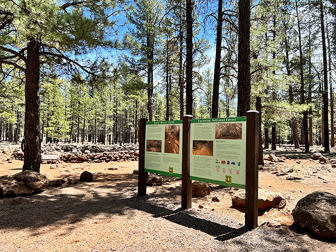 Mother Nature's own "You Are Here" sign. Who knew lava could be so informative? It's like Google Maps, but with more rocks and fewer ads.