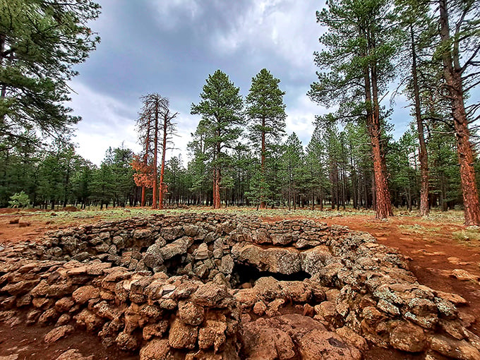 Ponderosa pines stand guard over nature's basement. It's like a forest decided to play hide-and-seek with a geological wonder.