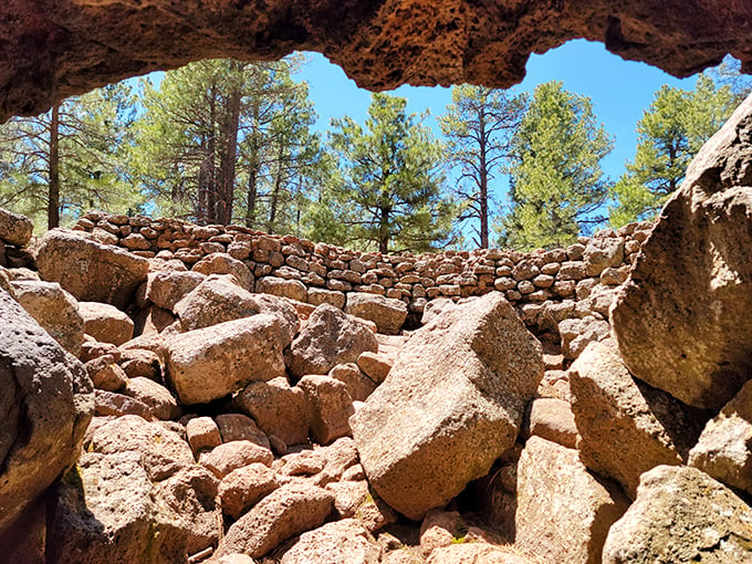 From darkness to light: nature's own transition shot. It's like emerging from a movie theater, but with more exercise and fewer popcorn kernels in your teeth.