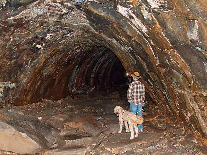 Even Fido wants in on the action! This pup's ready to sniff out some ancient lava trails. Who says you can't teach an old dog new geological tricks?