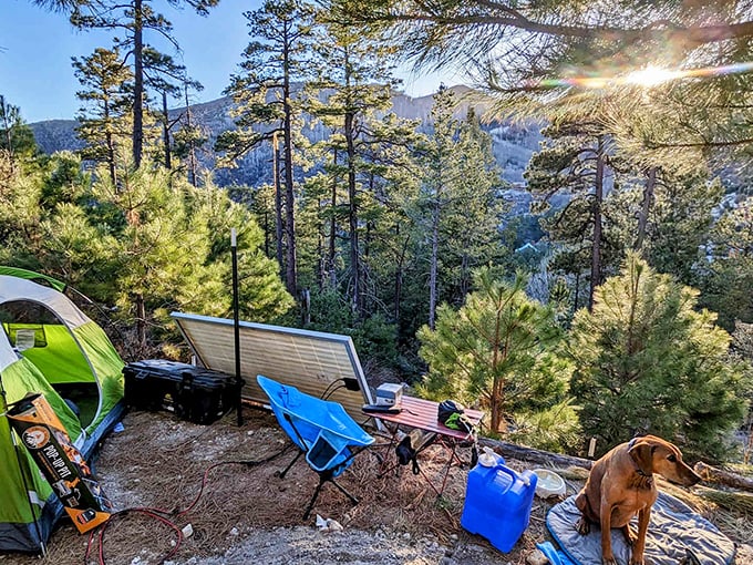 Camping with a view that's better than cable. Who needs 500 channels when you've got a million stars and a front-row seat to nature's best?