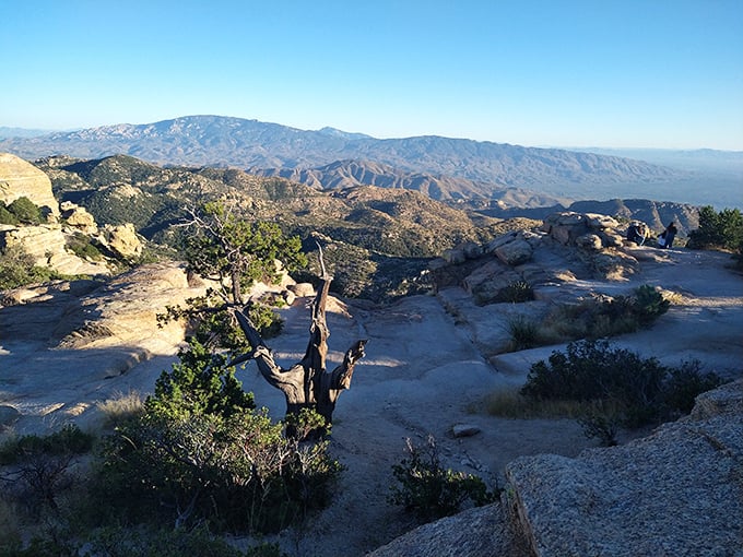 Mountains on mountains on mountains. It's like nature decided to play Jenga with landscapes, and we're all winning.