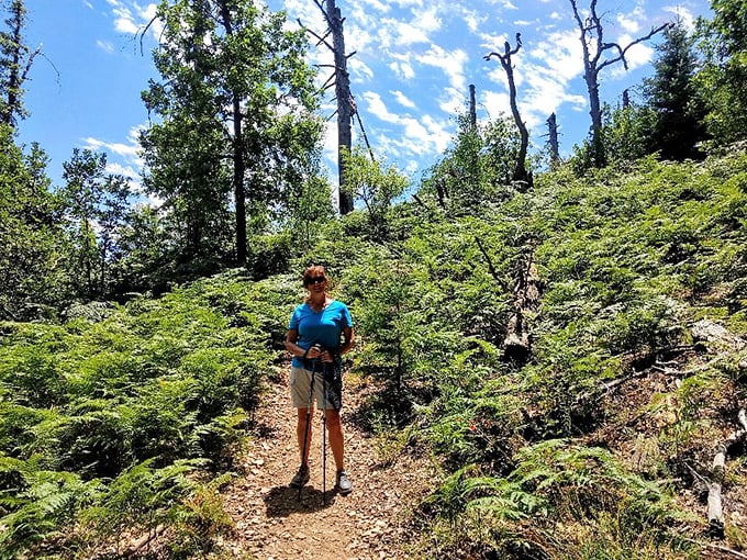 Hike your own hike! This trail is nature's version of a choose-your-own-adventure book, complete with fern-filled pages and pine-scented plot twists.