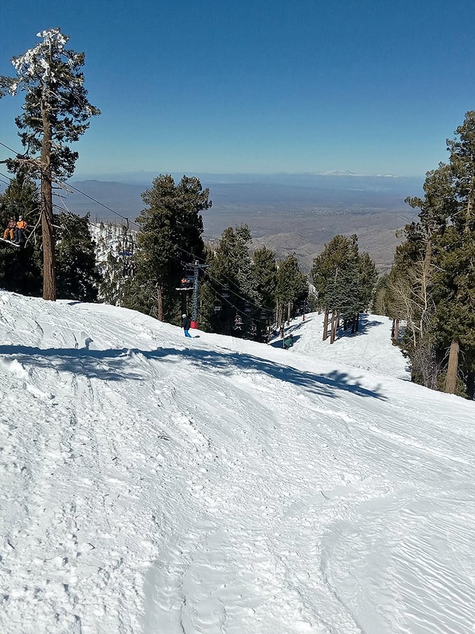 Powder hounds, unite! This slope is serving up more fresh lines than a Hollywood script doctor. Time to carve your own story!