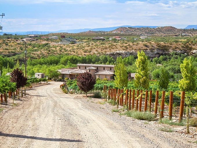 The road less traveled leads to liquid gold. This winding path through Alcantara's vineyards is like nature's red carpet, rolling out the welcome mat for wine lovers.