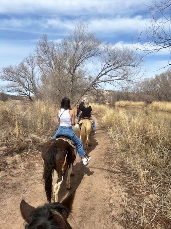 Giddy up and wine down! These trail riders are living out every oenophile's fantasy – combining horseback adventures with vineyard views.