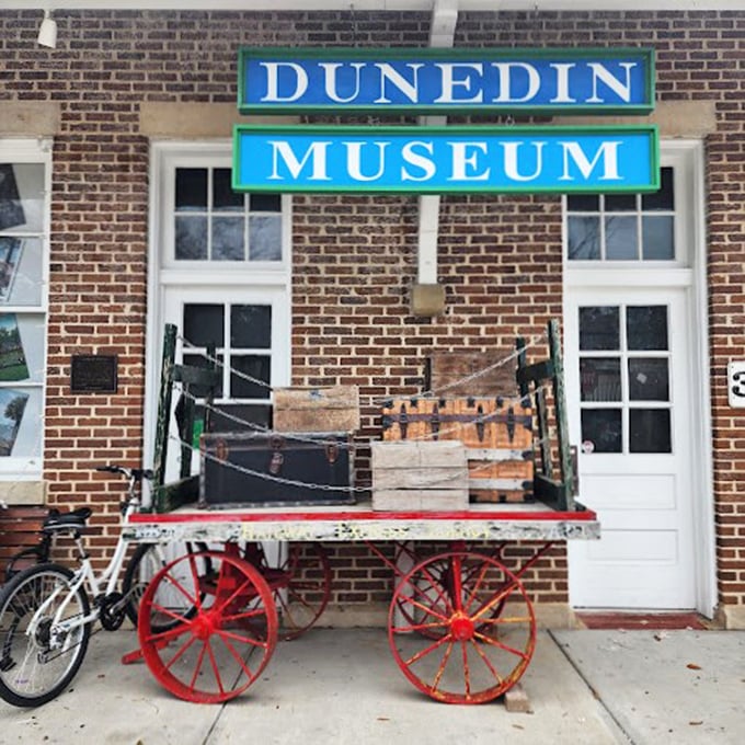 History with a side of whimsy! Dunedin's museum proves learning can be fun. It's like "Night at the Museum" meets "Mayberry R.F.D."