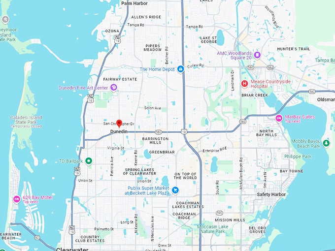 16. dunedin map