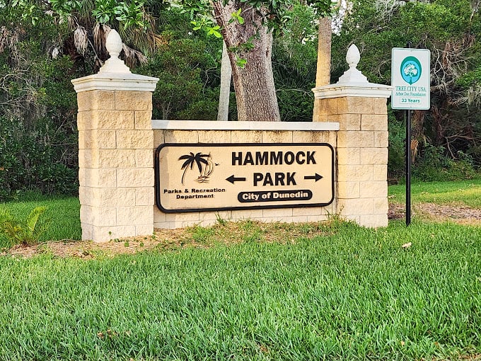 Hammock heaven ahead! This park invites you to slow down and smell the sea breeze. It's nature's way of saying, "Take a load off, friend."