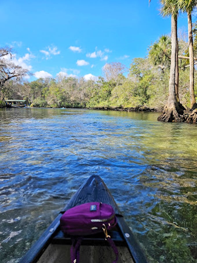 Paddle your way to paradise! This kayaking adventure is like a real-life version of 