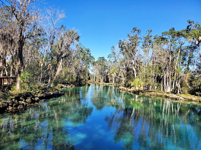 Mirror, mirror on the water... This crystal-clear wonderland reflects Florida's beauty like a living postcard. No Instagram filter needed!