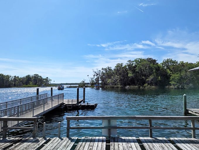 All aboard the S.S. Serenity! This dock is your gateway to aquatic adventures and impromptu manatee meet-and-greets.