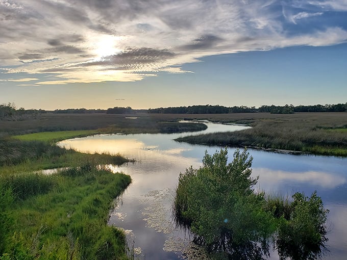 Florida's golden hour paints the marsh in hues that would make Bob Ross weep with joy. Happy little clouds, indeed!