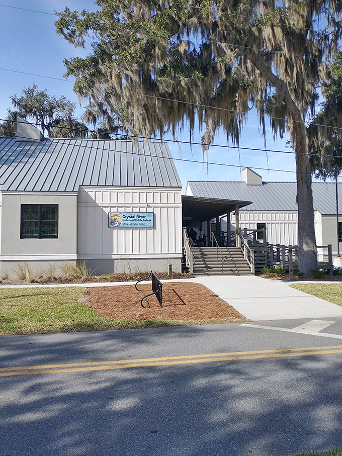 Welcome to Manatee HQ! This visitor center is where sea cow dreams come true and landlubbers become honorary marine biologists.