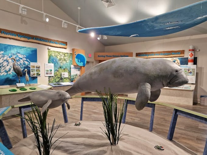 Step into Manatee Disneyland! This museum brings the underwater world to life, minus the pruney fingers.