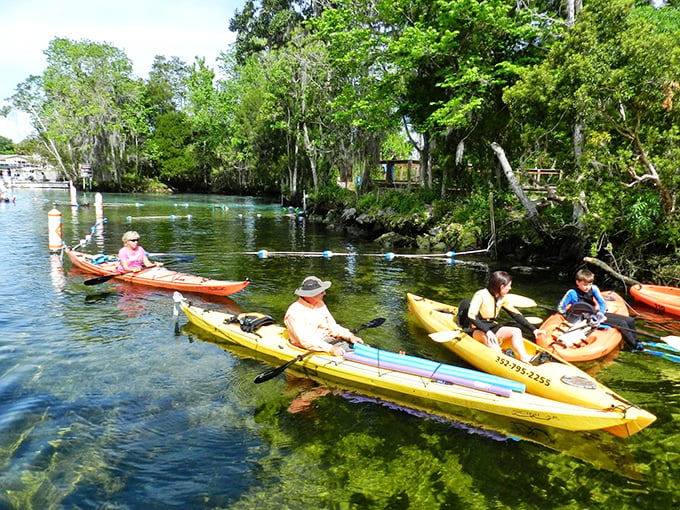 Kayak convoy, assemble! These colorful crafts are your ticket to Florida's own version of "The Amazing Race: Manatee Edition."