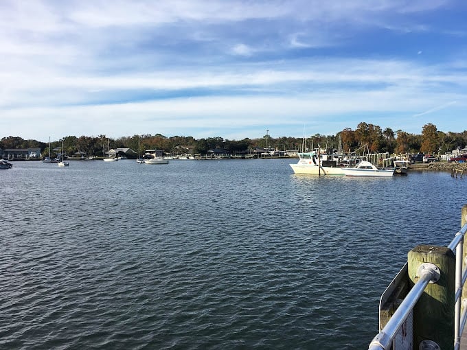 Ahoy, mateys! Crystal River's marina is where weekend captains and seasoned sailors mingle in perfect nautical harmony.