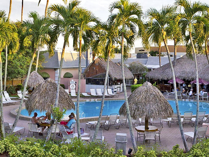 Pool party central! Harold's backyard oasis is where "staycation" becomes "daycation." Cannonball contest, anyone?