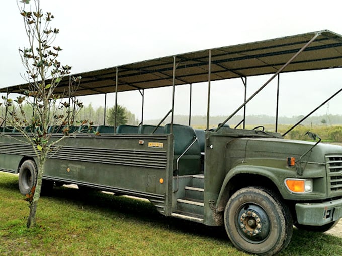 All aboard the Safari Express! This rugged ride is your ticket to adventure, no frequent flyer miles required.