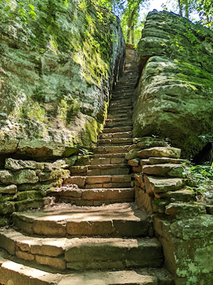 Stairway to heaven? Not quite, but these moss-kissed stone steps might just lead you to your own slice of paradise.