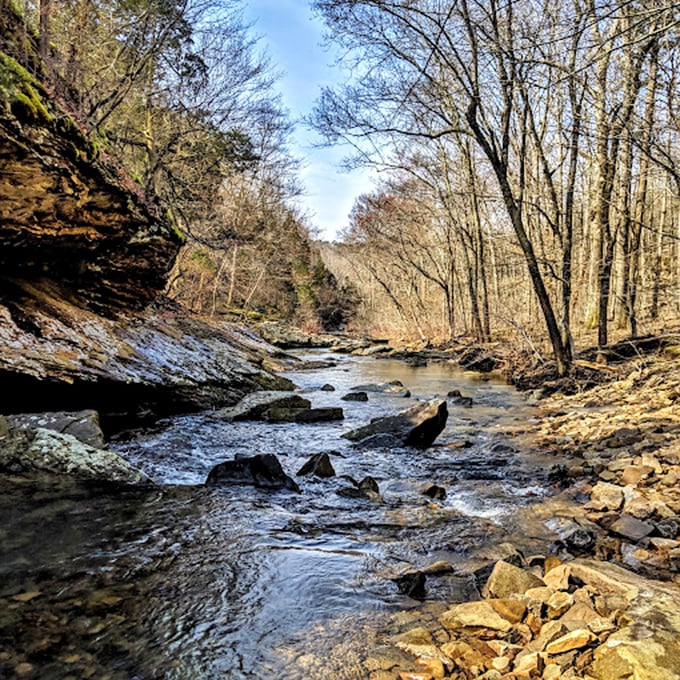 Who needs a white noise machine? This babbling brook provides the ultimate soundtrack for your nature getaway.