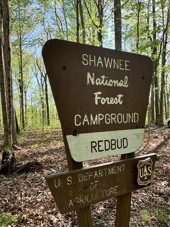 Shawnee National Forest: Where 