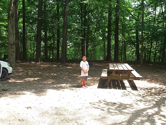 Picnic table or VIP seating? In this forest amphitheater, every meal is a five-star experience with a view to match.