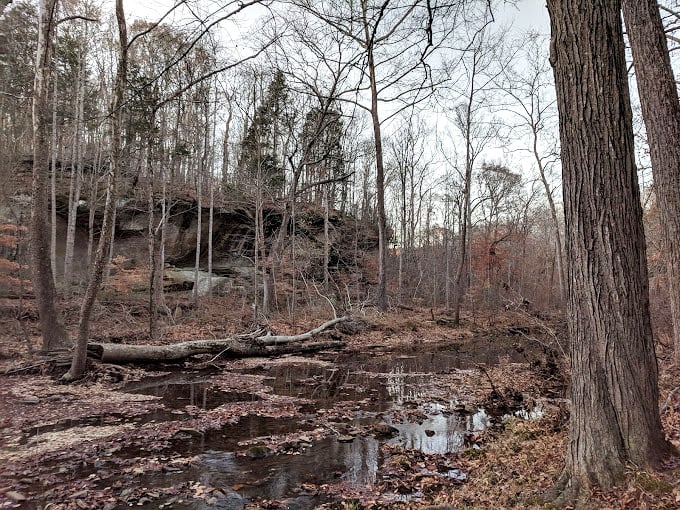 Autumn's palette on full display. Who needs a museum when you've got this natural Monet right in your backyard?